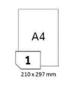 SLE Laser Economy 210x297 100 etiket
