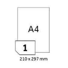 SLE Laser Economy 210x297 100 etiket
