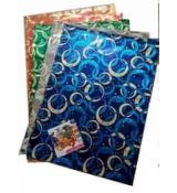 sáček PP 25x40cm /př.str.-transp.+tisk...zadní str.-metal/